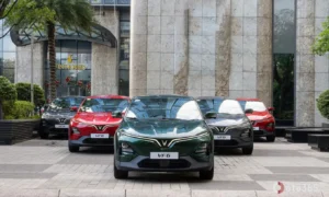 Tình Trạng Hiện Tại